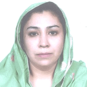 Lamees Mahmood Malik, Allama Iqbal Medical College